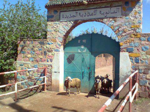اضغط على الصورة لرؤيتها بالحجم الطبيعي