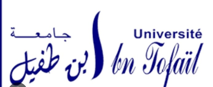 جامعة ابن طفيل