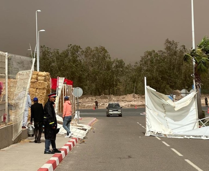 انظر الى مخزن اكل الاحصنة عاريا